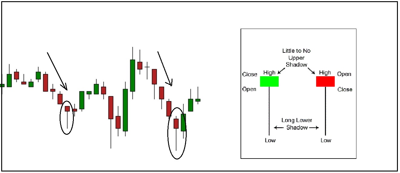 Trading profit and loss account questions and answers doc